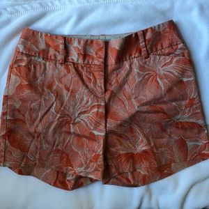 The Limited Drew Fit Orange Shorts